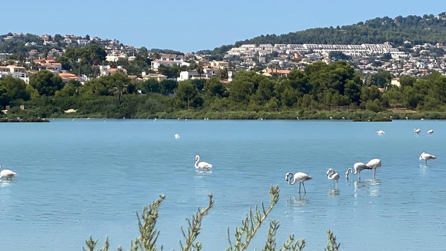 Timora Sea View New Apart' Hipocampos كاليبي المظهر الخارجي الصورة